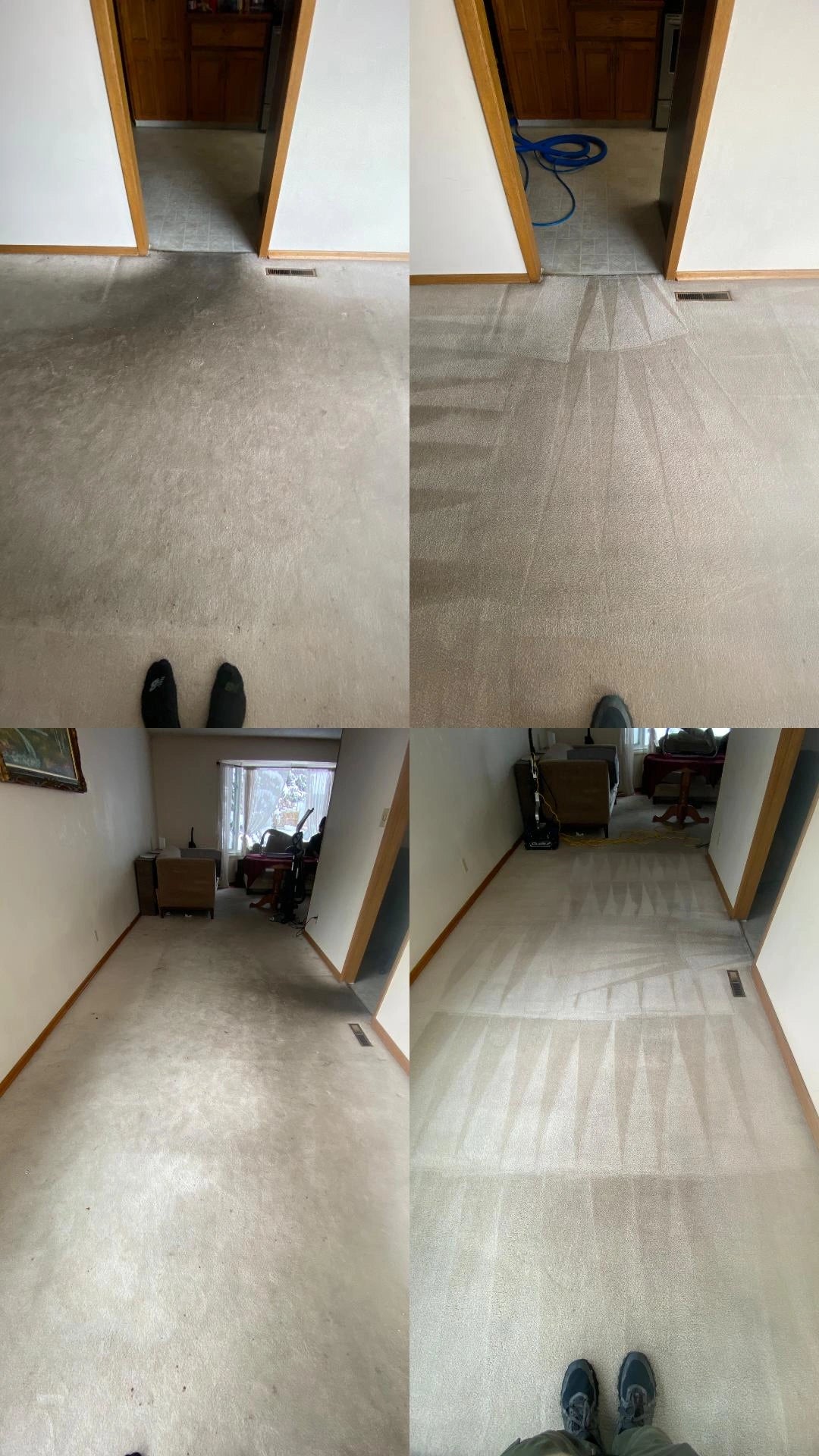 PowderBlitz Super Concentrated Carpet Prespray