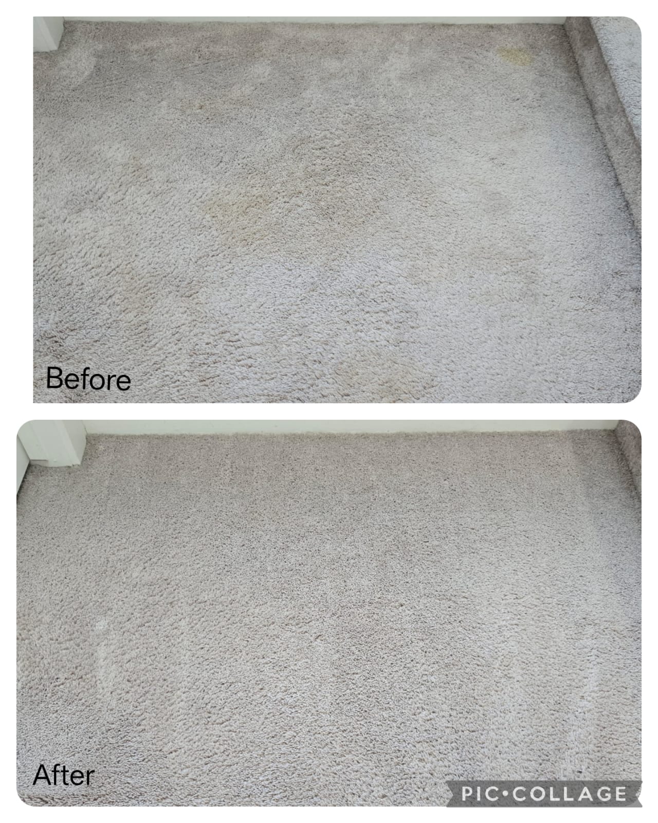 PetZap IQ Pet Stain and Odor Remover