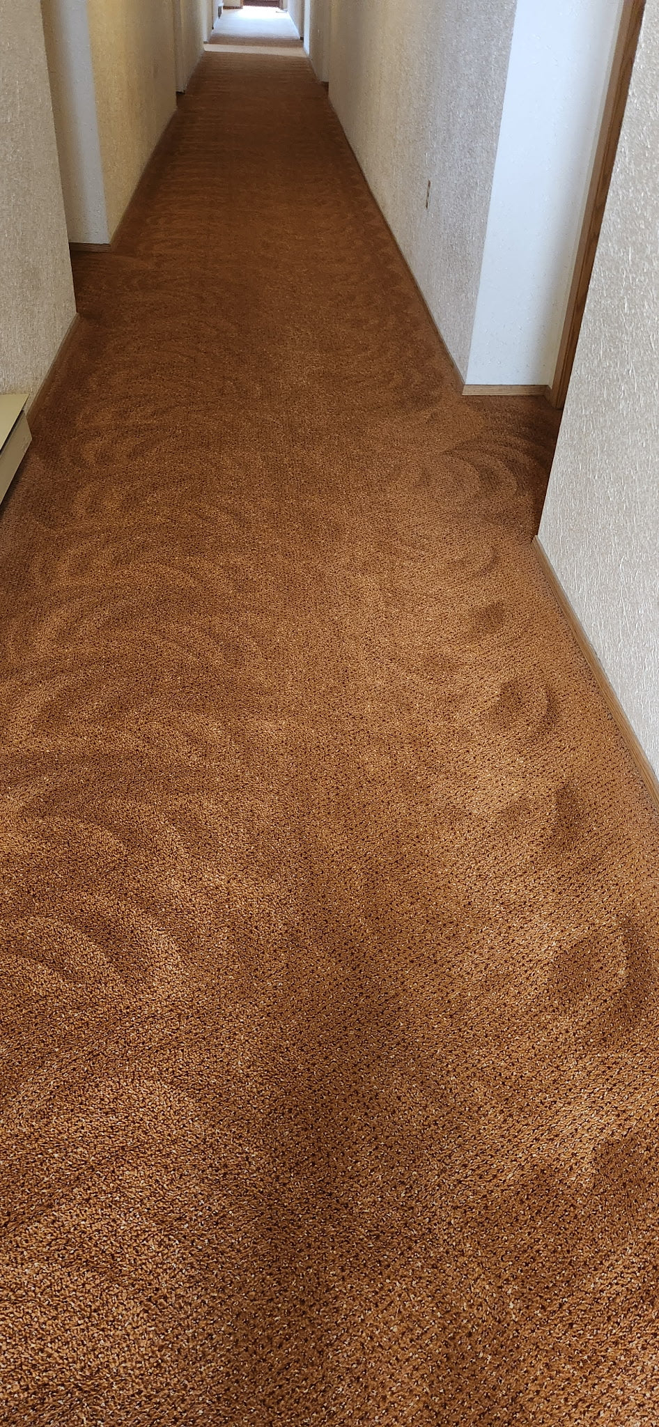 CrystalLock Encap Low Moisture Carpet Cleaner